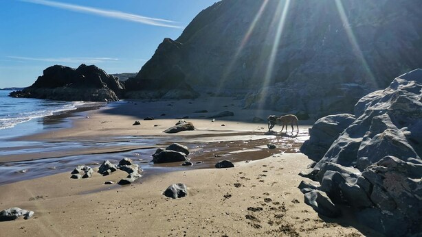 Une plage au paysage rocheux, sous un ciel dégagé.