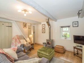 Smart TV, fireplace, DVD player - Blaenfforest Rose Cottage, Newcastle Emlyn (Cwmhiraeth)