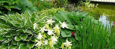 المنطقة المحيطة بالمنشأة