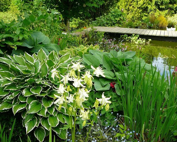 Property grounds - Blaenfforest Granary, Newcastle Emlyn (Cwmhiraeth)