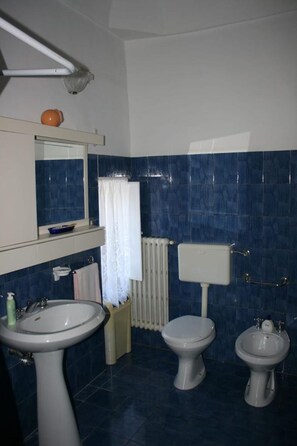Dusche, Haartrockner, Bidet, Handtücher