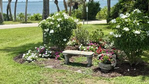 A garden with a bench, flowering plants, and palm trees by a body of water.