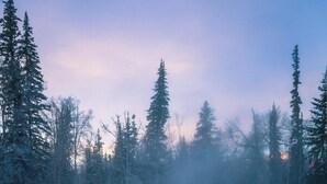 Unclassified image, 4 of 6, button - Liard Lodge & RV Park (Liard River)