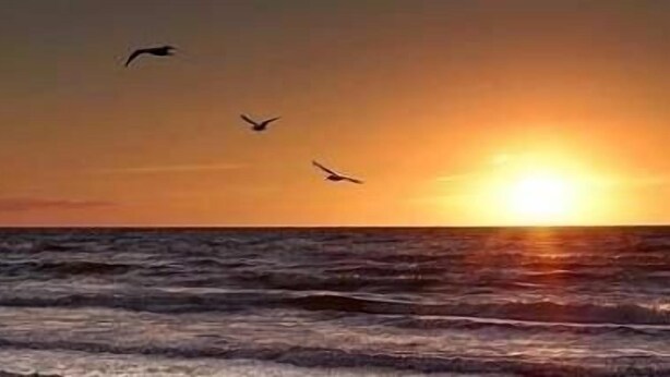 Tramonto sull'oceano con onde e uccelli in volo.