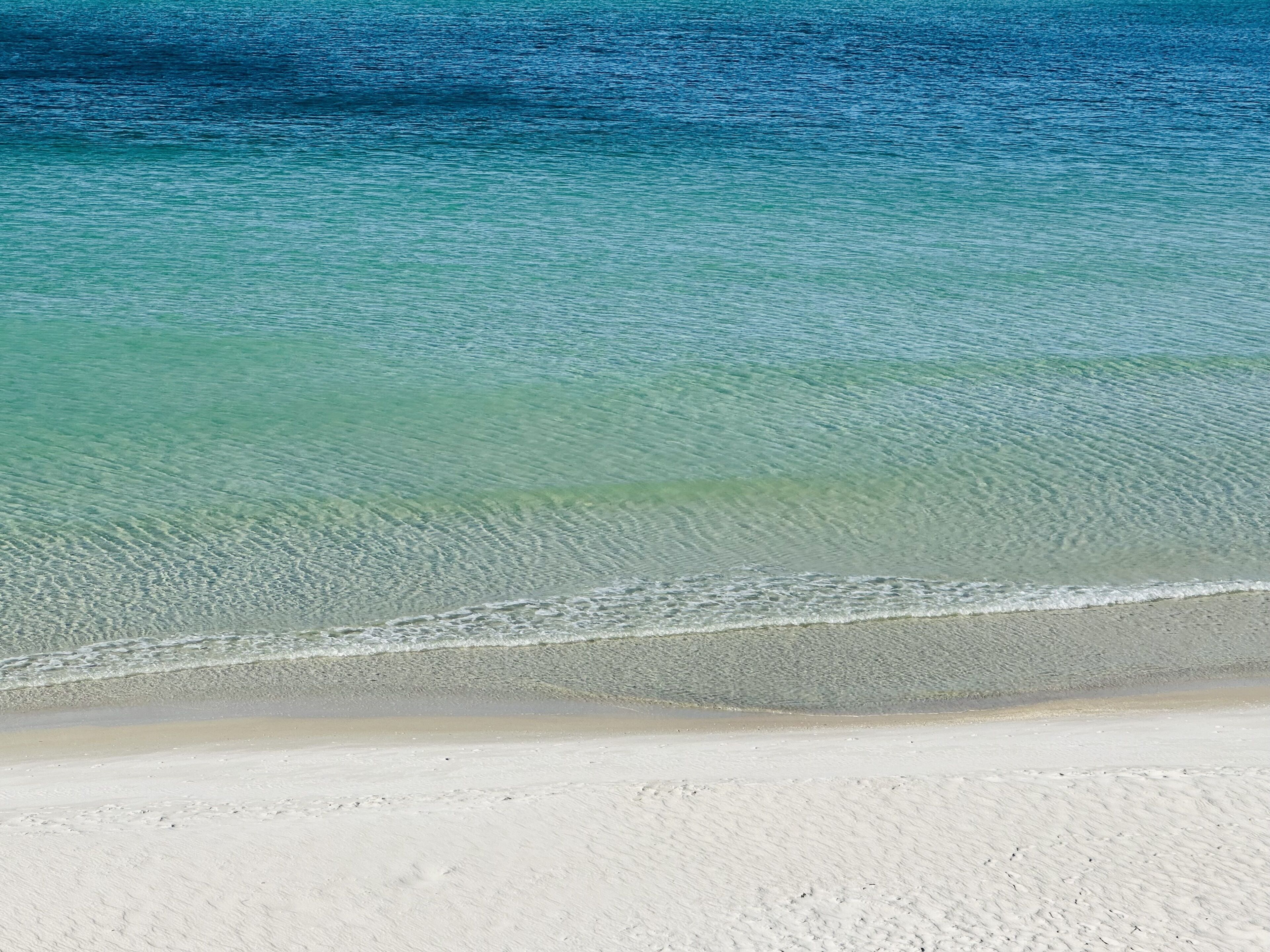 Newly renovated studio on the beach # 207