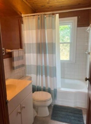 Hair dryer, towels, soap, toilet paper - Quaint Cottage on Myer Creek (Lancaster)