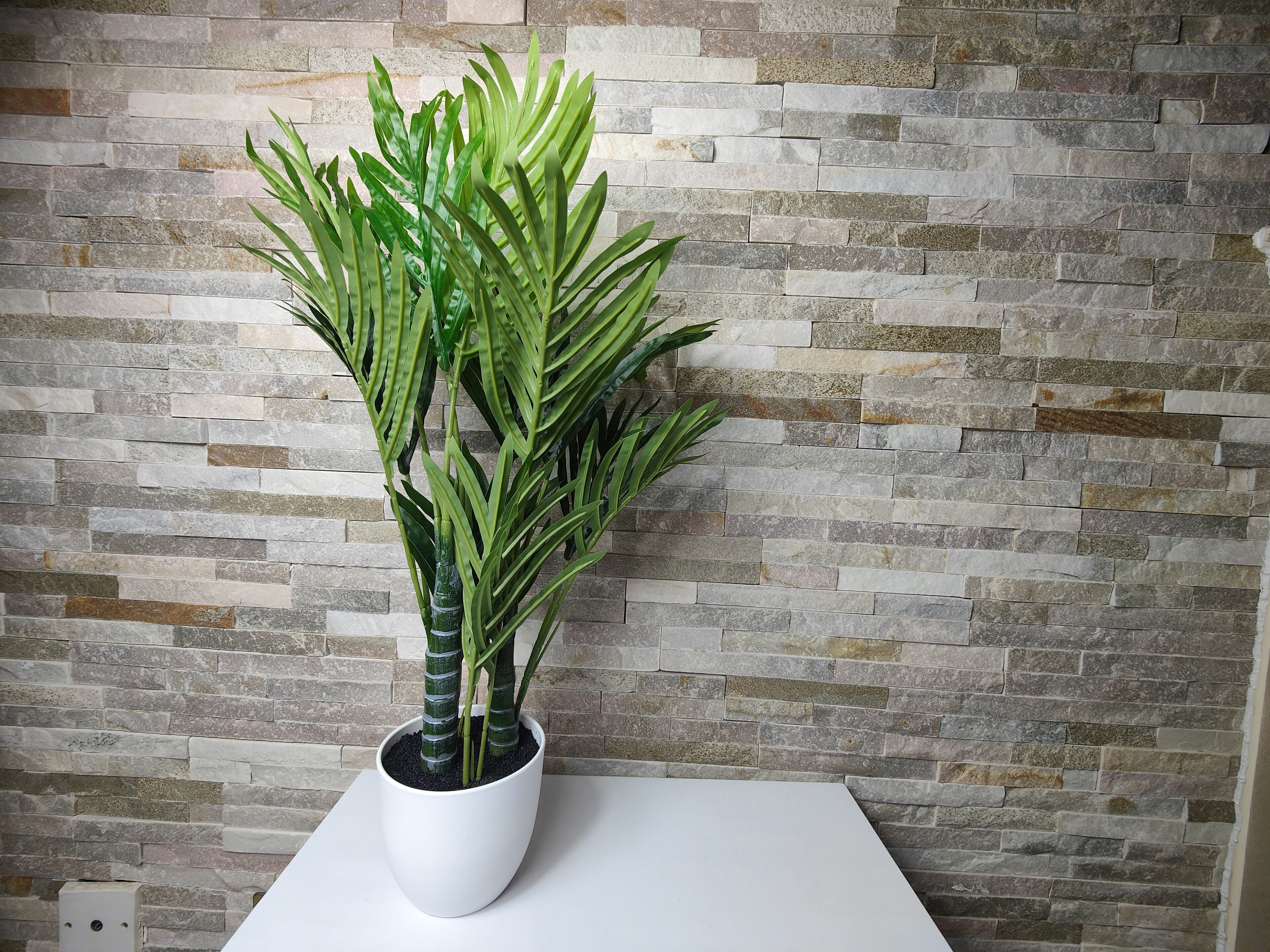Una planta en maceta con hojas verdes largas sobre una mesa blanca frente a un muro de piedra.