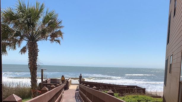 A wooden boardwalk leading to a beach with palm trees and ocean views. - Paradise awaits! Beachfront condo with everything you need! (North Topsail Beach)