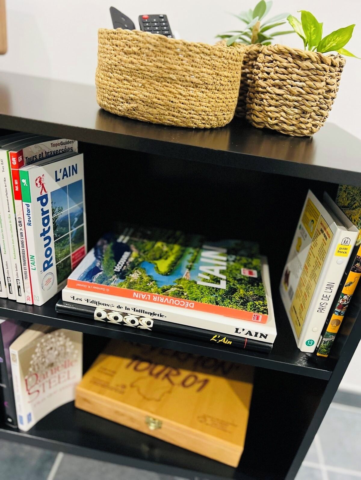 Een boekenplank met reisgidsen en een gevlochten mand met een plant.