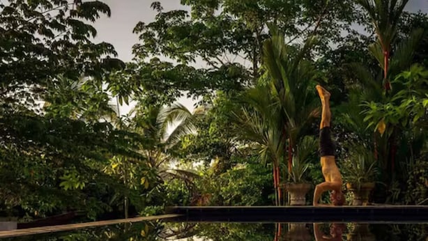 Une personne faisant la verticale sur le bord étroit d’une piscine, son reflet se reflétant dans l’eau, le tout entouré d’une végétation tropicale luxuriante.