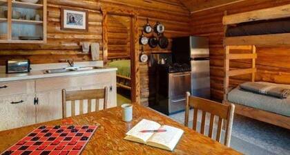 Comfortable Cabin next to Yellowstone National Park