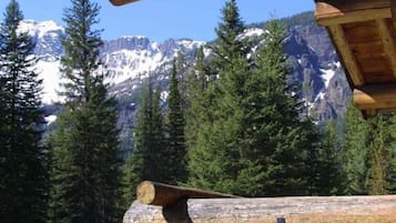 Terrain de l’hébergement