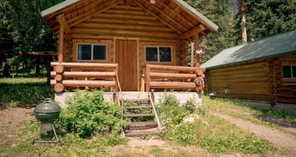 Comfortable Cabin next to Yellowstone National Park