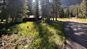 Une cabane entourée de grands arbres, au bord d’un chemin de terre.