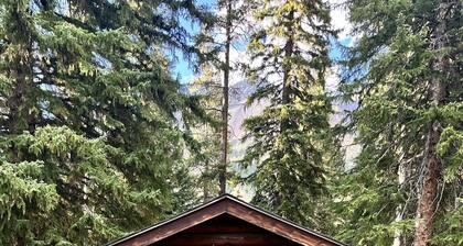 Comfortable Cabin next to Yellowstone National Park