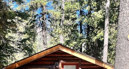 Comfortable Cabin next to Yellowstone National Park