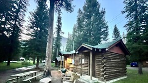 Eine rustikale Holzhütte mit einer Holzwandfassade, umgeben von einem Picknickbereich mit Bänken und einem Grill.