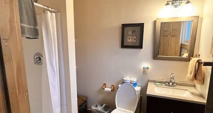 Newly Remodeled Motel Room with 1 Queen Bed, Bathroom with shower. Mini Fridge, Coffee Maker. Situated close to the General Store in Silver Gate, MT
