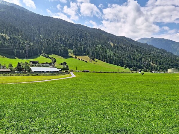 Paisaje rural con un campo verde, algunos edificios y una montaña al fondo.
