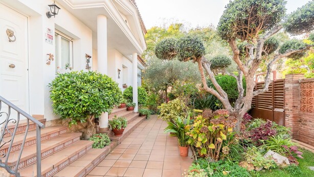 Un jardín bien cuidado con diversas plantas y un sendero empedrado que lleva a un edificio blanco con columnas.
