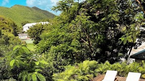 A rectangular swimming pool with a wooden deck, surrounded by lush greenery and a mountain in the background. - 2 rooms with private pool | Villa 2 (Pigeon-Pea Hill)