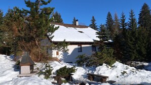 A house with a snow-covered roof, surrounded by evergreen trees. - Nice apartment for 12 people with WIFI and pets allowed (Jilemnice)