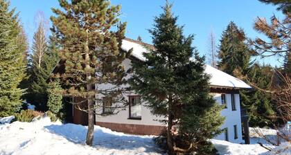 Herrliche Wohnung für 5 Personen mit W-LAN, TV und Haustiere erlaubt