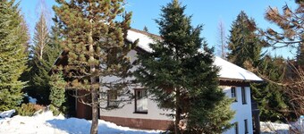 Cosy apartment for 5 guests with WIFI, TV, pets allowed and parking