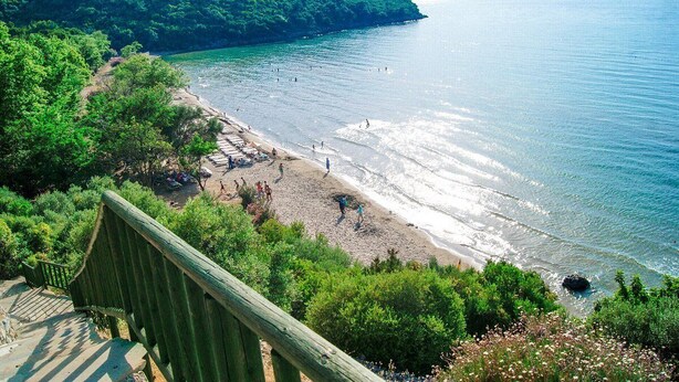 Una playa con una escalera de madera que desciende hacia la orilla, rodeada de exuberante vegetación y una vista despejada del mar.
