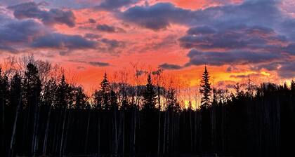 Mountain Retreat Cabin in Toad River BC