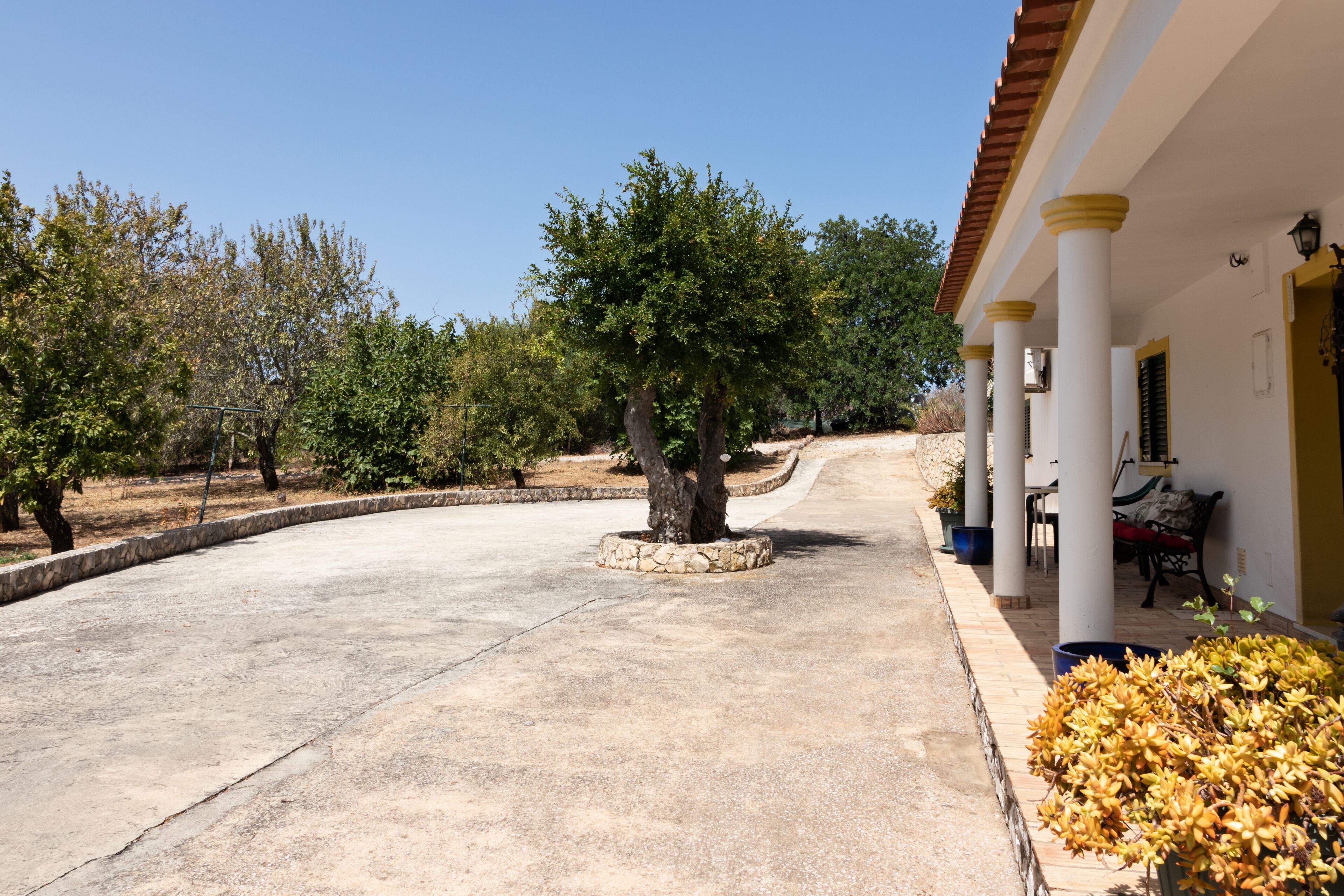 A covered outdoor area with a curved pathway, white columns, and potted plants.