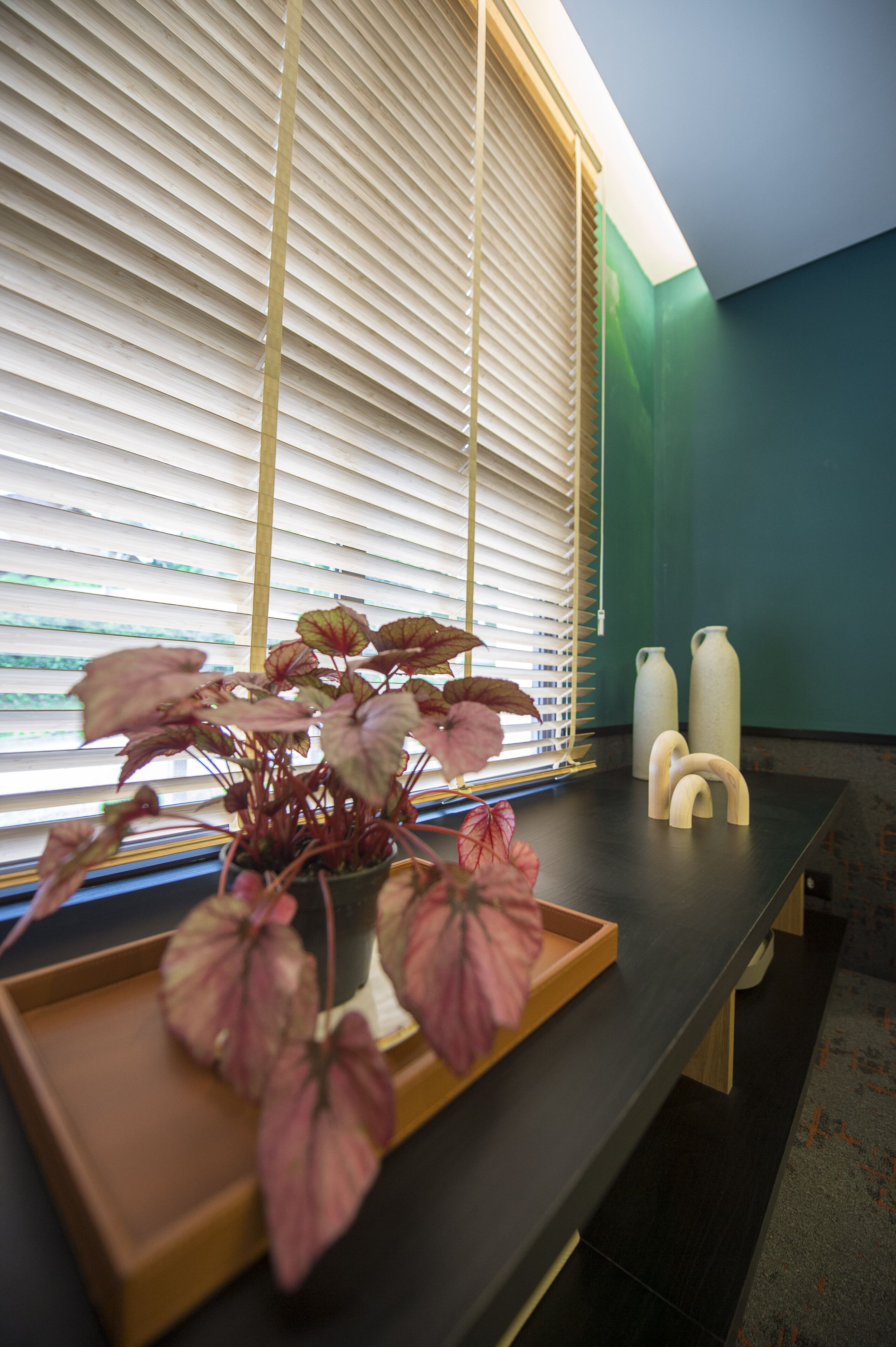 A room with a window, a potted plant, a tray, and two white bottles.