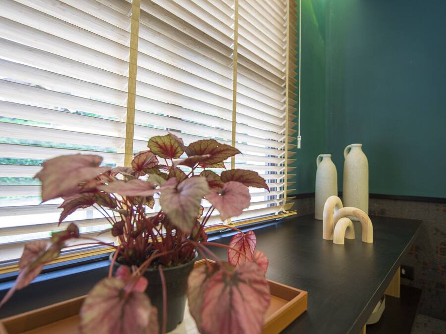 A room with a window, a potted plant, a tray, and two white bottles.