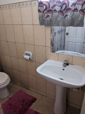 Shower, towels, soap, toilet paper - A private two bedroom apartment shared by two renters per bedroom  (Bagotstown)