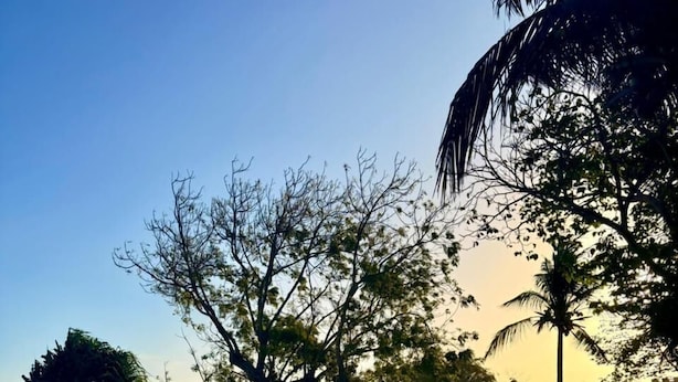 Un área junto a la piscina con sillones de descanso y sombrillas, rodeada de árboles y un cielo despejado.