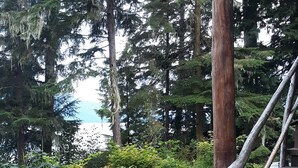 Una scala di legno conduce a una baita, circondata da un bosco fitto e da uno specchio d'acqua sullo sfondo.
