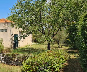 Àrea exterior de l'allotjament