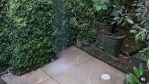 A garden with a water feature, surrounded by dense foliage and potted plants. - Baobá Pousada e SPA (Olinda)