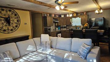 Télévision, cheminée, espaces bureaux