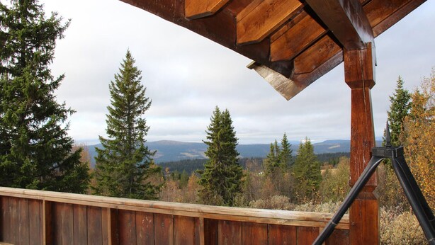 Una terraza de madera con vistas a un bosque y montañas lejanas.