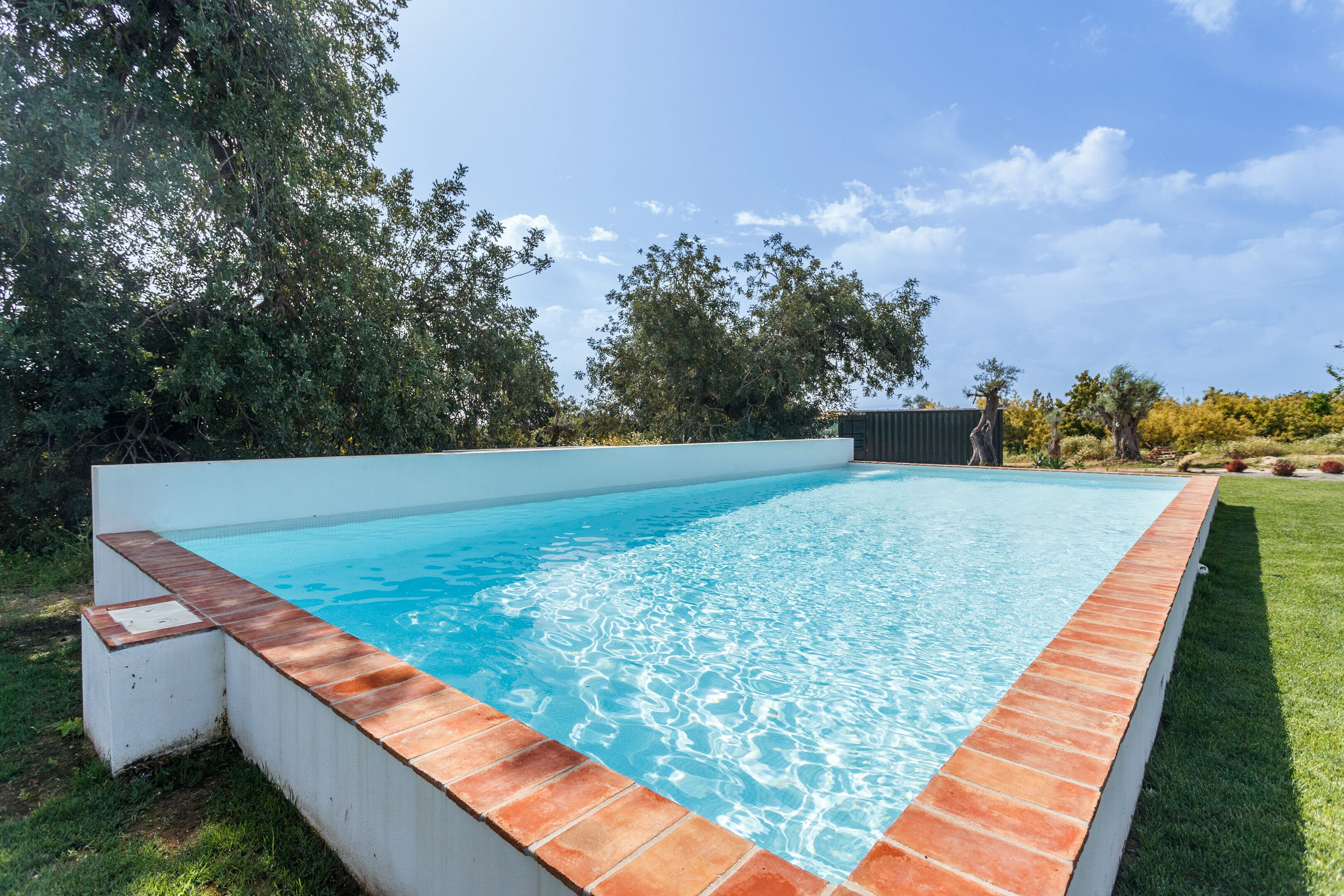 Ein rechteckiger Swimmingpool mit einer Fliesenleiste, umgeben von einer Rasenfläche und Bäumen.
