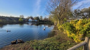 A calm lake with swans, surrounded by houses and trees. - Chalet Sea-renity Lakeside met Jacuzzi (Jabekke)