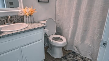 Serviettes fournies, savon, papier toilette