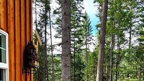 Una cabaña de madera con camino de grava, rodeada de árboles altos y un pabellón al fondo.