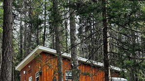 Una cabaña en un bosque con un camino de tierra que la lleva a ella, rodeada de árboles y rocas.