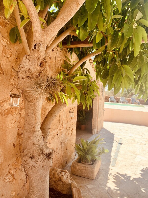 Property grounds - Juan Vadell  (IB)