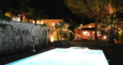 Château La Tuilière: pool and it's own wineyard