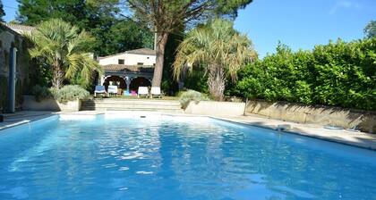 Château La Tuilière: pool and it's own wineyard
