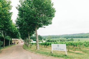 Áreas de la propiedad