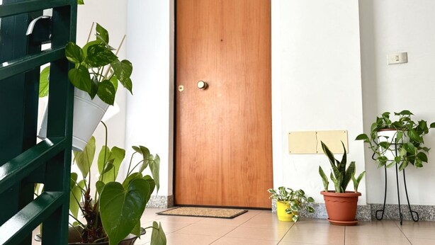 A wooden door with a doorknob, a green metal gate, and several potted plants. -  P026 - Porto Recanati, three-room apartment with sea view 100m from the beach (Porto Recanati)